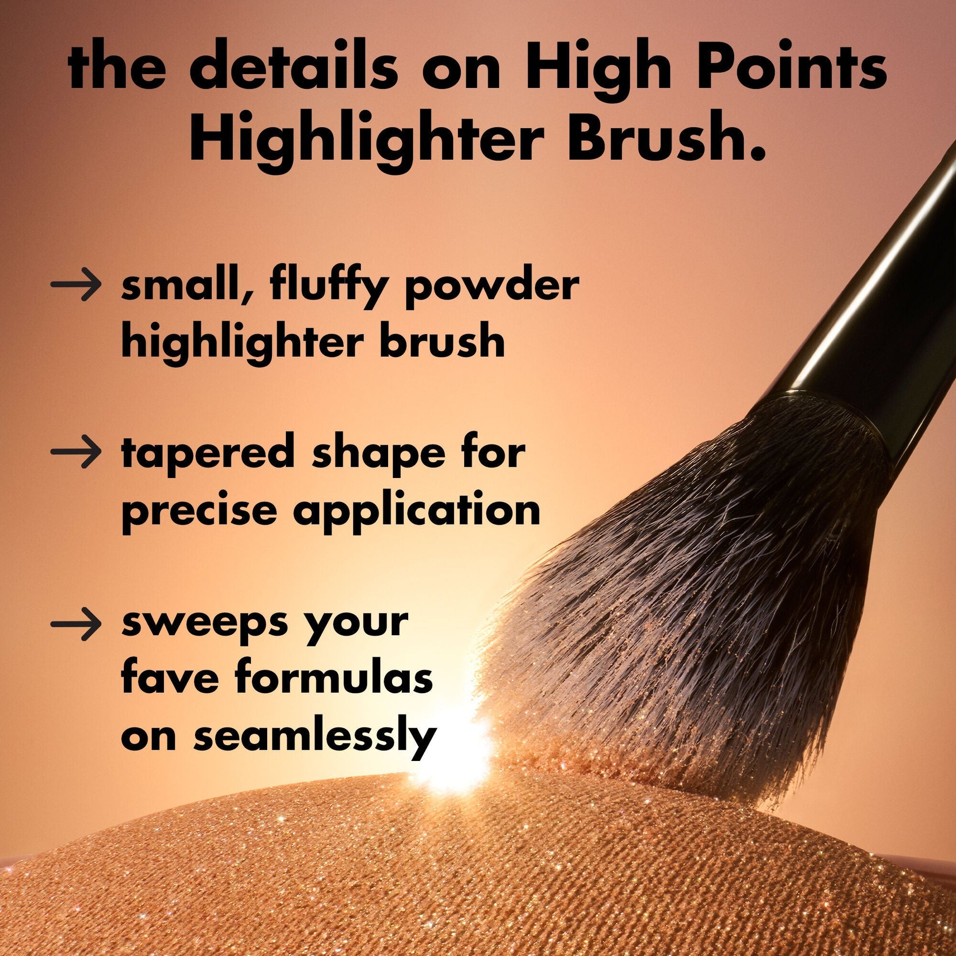 high-points-highlighter-brush-i3 0226_EDU_HighpointsHighlighterBrush_Details.jpg