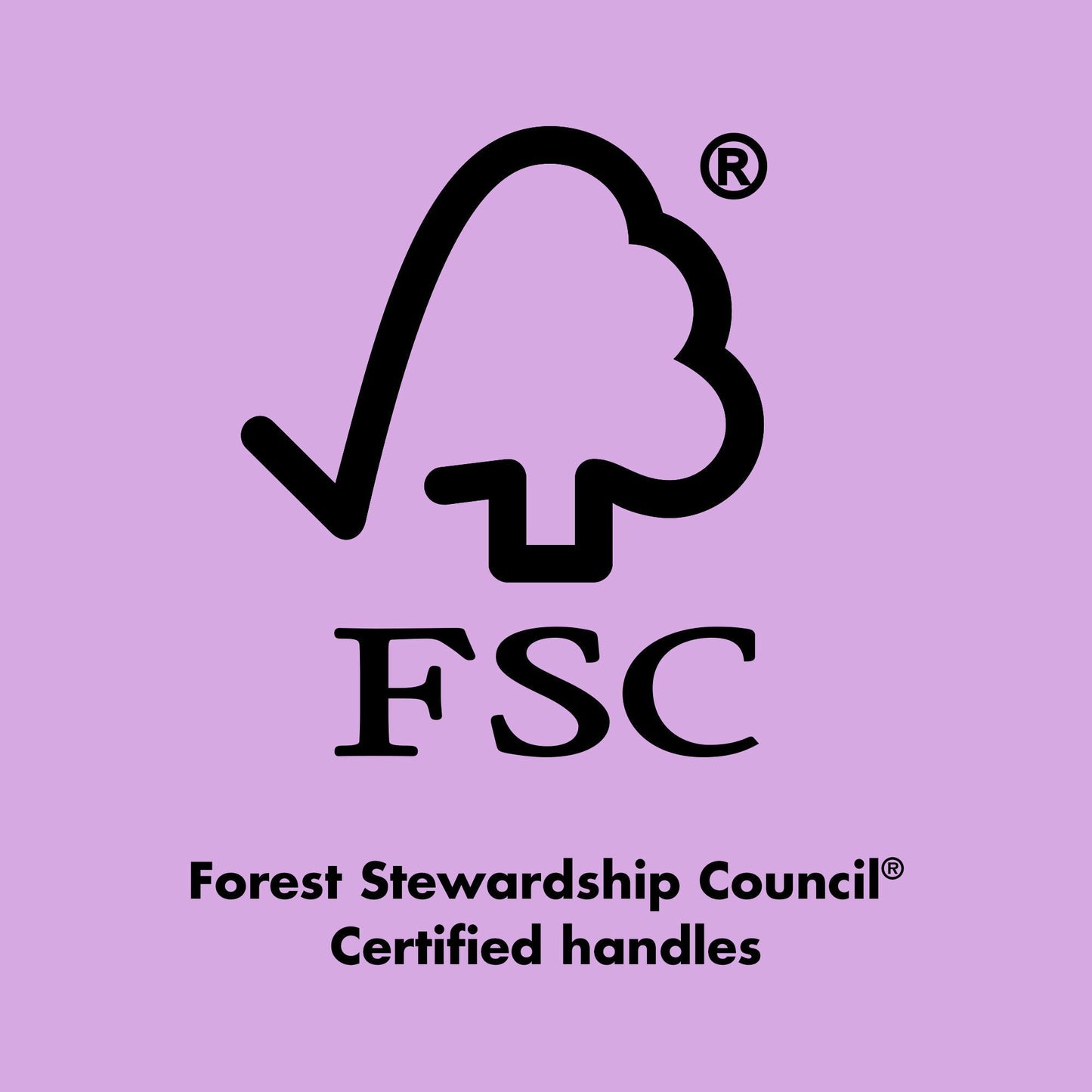 ten-out-of-ten-brush-kit-s9 0423_EDUCATION_FSC_EVERGREEN.jpg